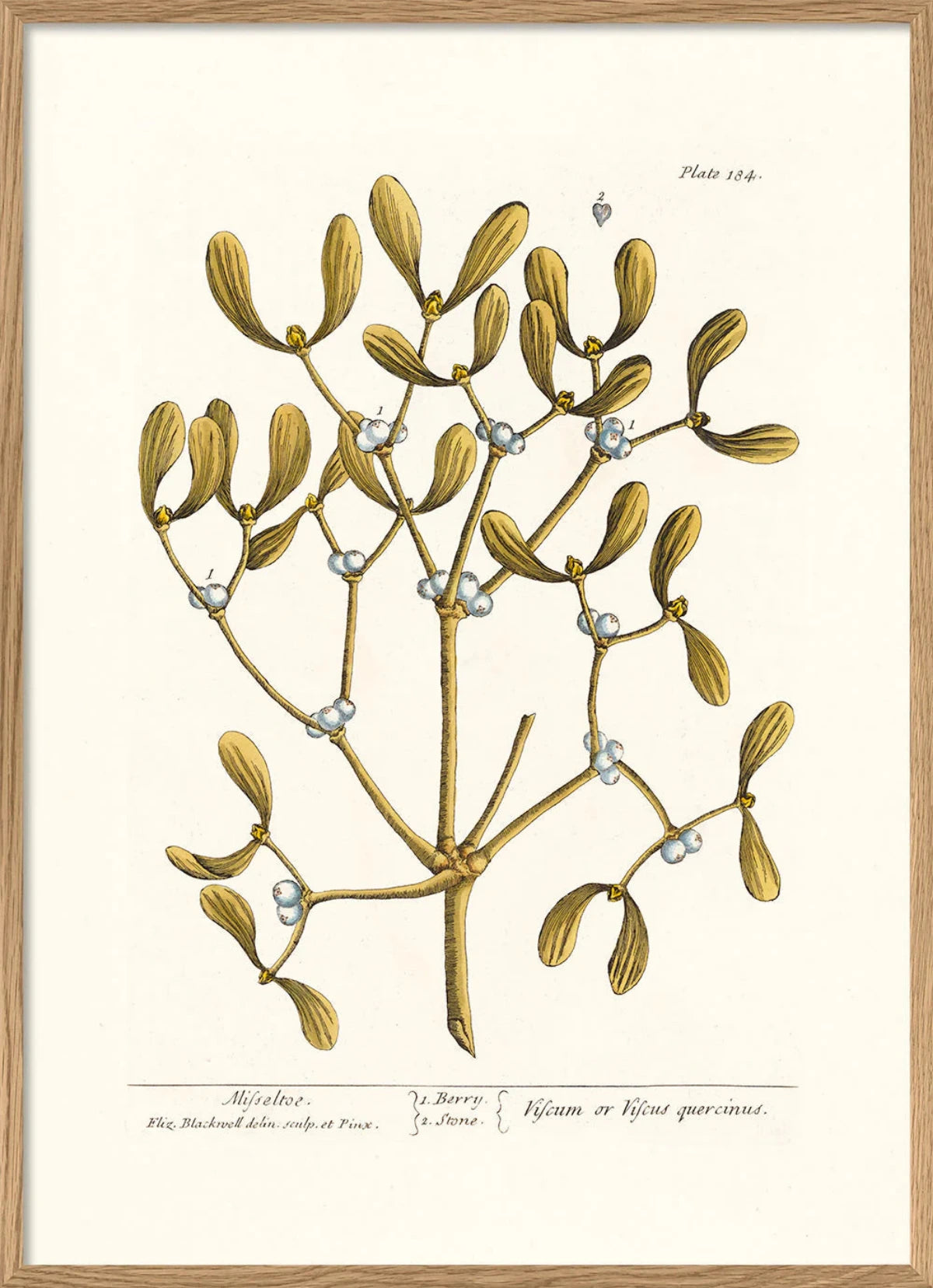 The Dybdahl "Mistletoe" 30x40 cm