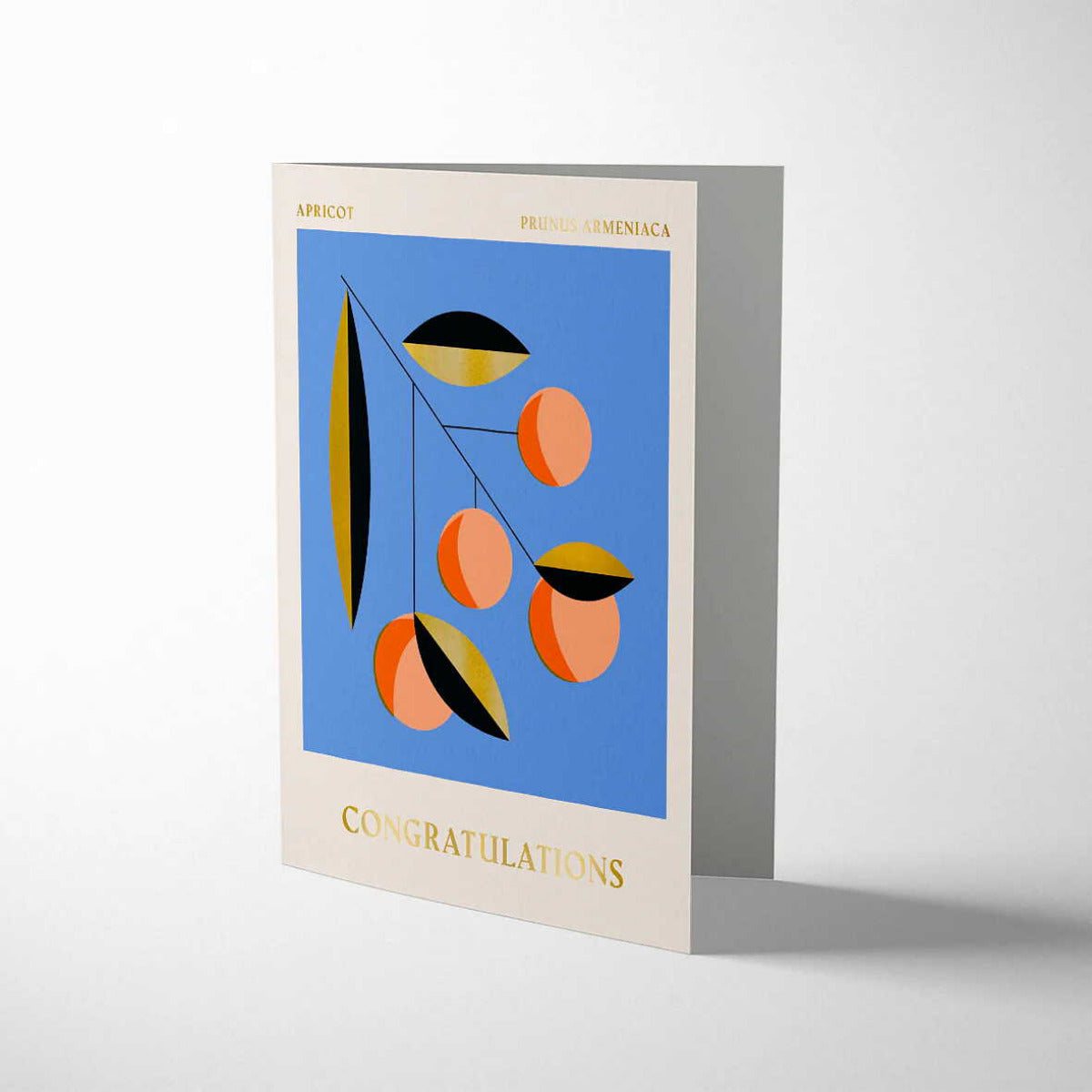 Kort Apricot Congratulations