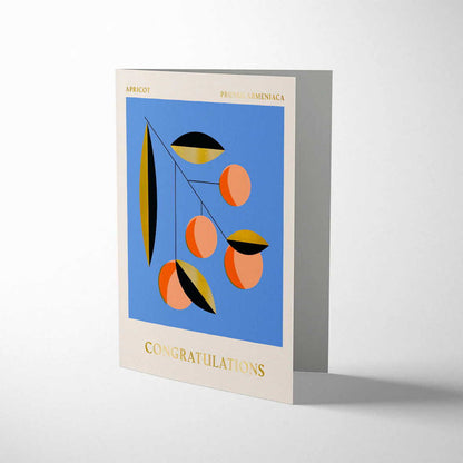 Kort Apricot Congratulations