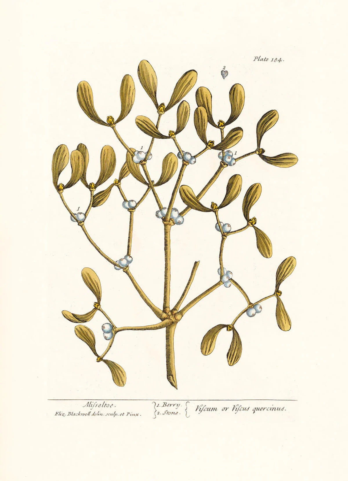 The Dybdahl "Mistletoe" 30x40 cm
