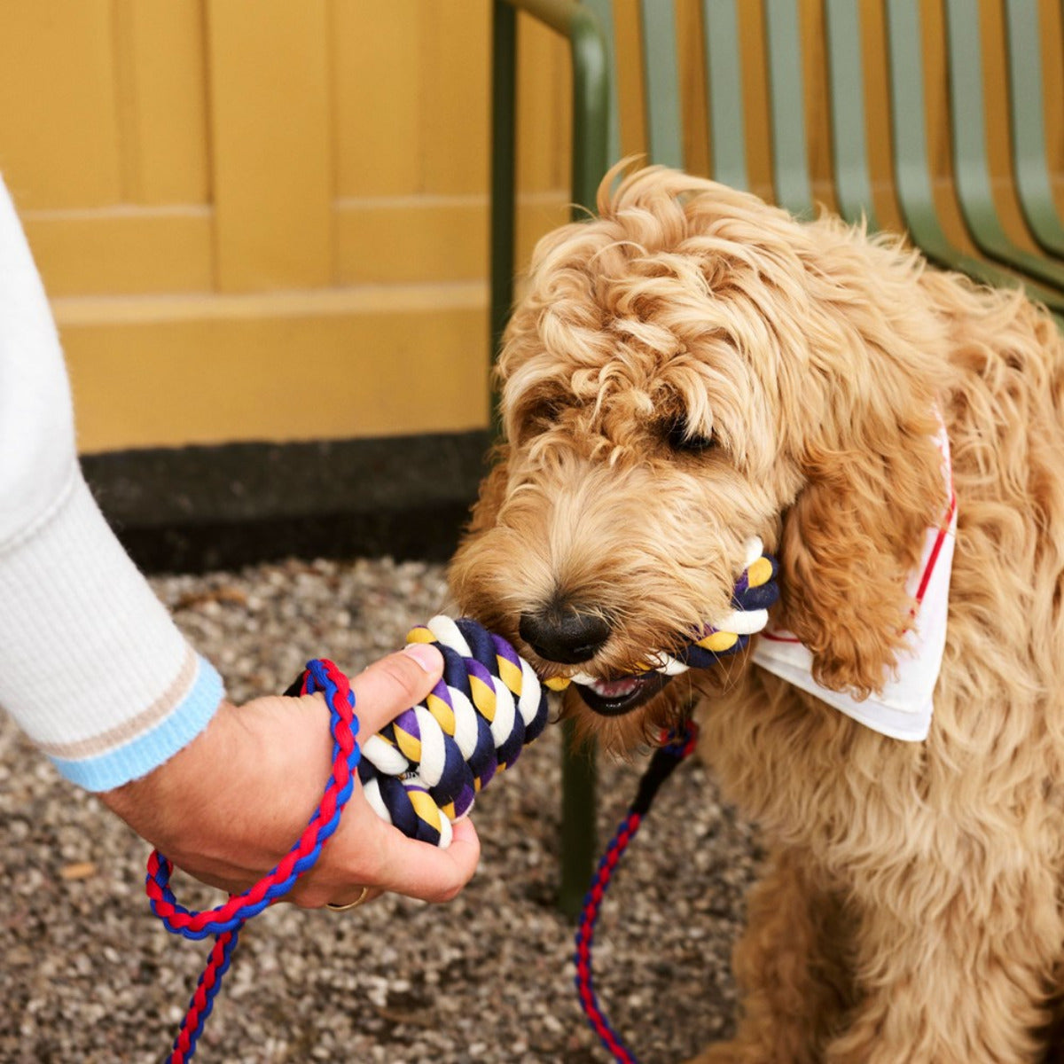 HAY Dogs Rope Toy hundleksak blue, purple, ochre