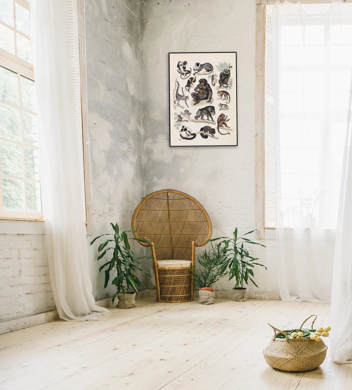 The Dybdahl "Quadrumana" 50x70 cm