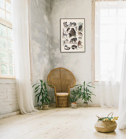 The Dybdahl "Quadrumana" 50x70 cm