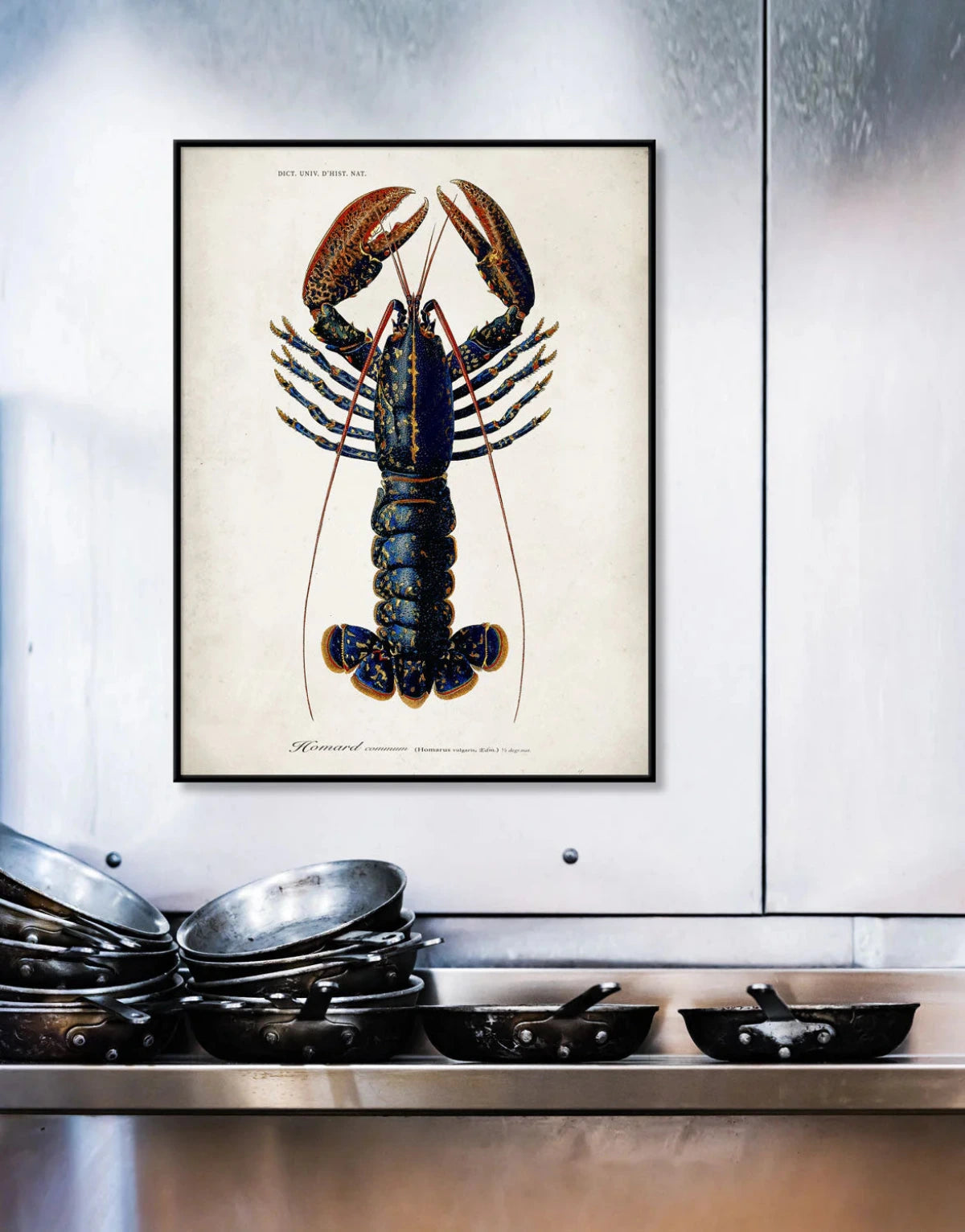 The Dybdahl "Lobster" 70x100 cm