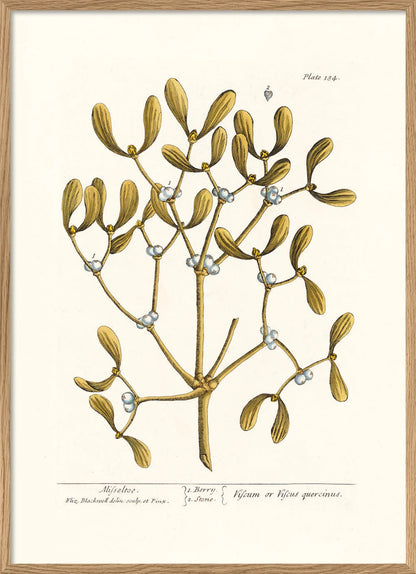 The Dybdahl "Mistletoe" 30x40 cm