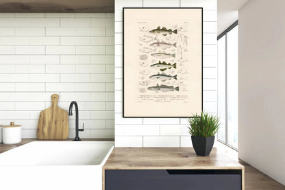 The Dubdahl "Fiske IX" 30x40 cm